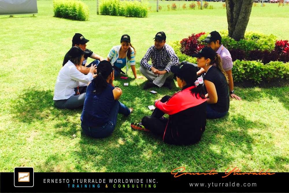Experiencia corporativa de cuerdas bajas para fortalecer cohesión de equipo